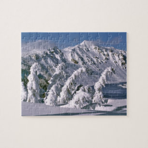 USA, Oregon, Crater Lake NP. Trees bow under the Jigsaw Puzzle