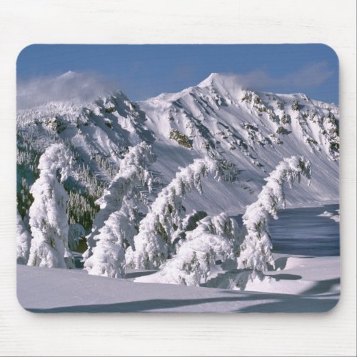 USA Oregon Crater Lake NP Trees bow under the Mouse Pad