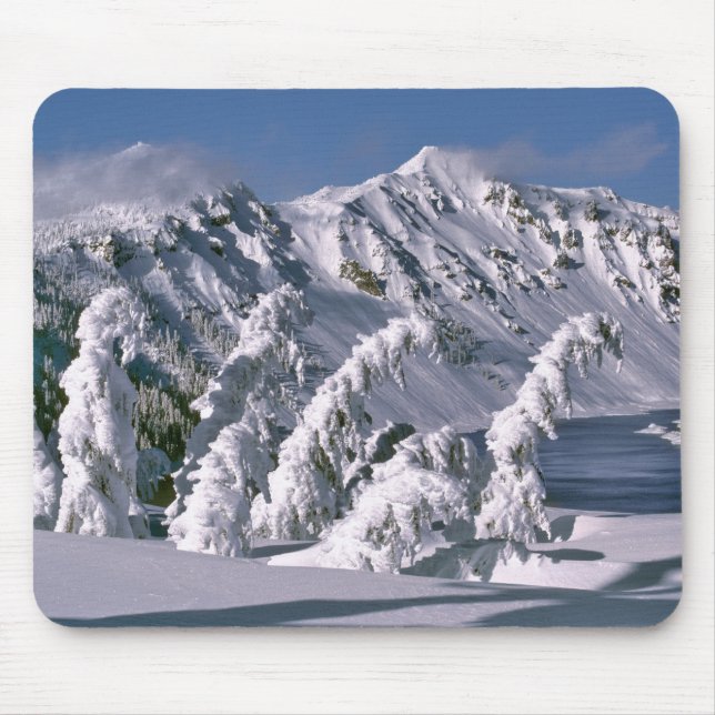 USA, Oregon, Crater Lake NP. Trees bow under the Mouse Pad (Front)