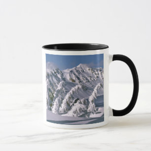 USA, Oregon, Crater Lake NP. Trees bow under the Mug