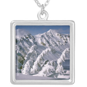USA, Oregon, Crater Lake NP. Trees bow under the Silver Plated Necklace