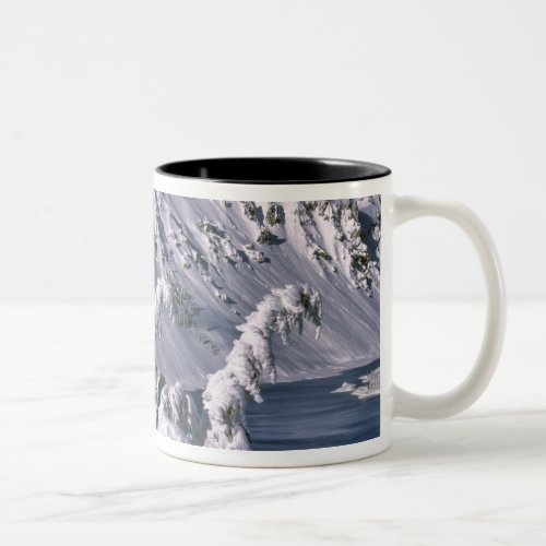 USA Oregon Crater Lake NP Trees bow under the Two_Tone Coffee Mug