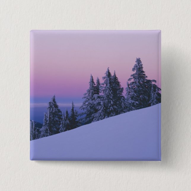 USA, Oregon, Deschutes National Forest, Dusk Button (Front)