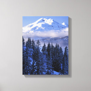 USA, Oregon, Deschutes National Forest, South Canvas Print