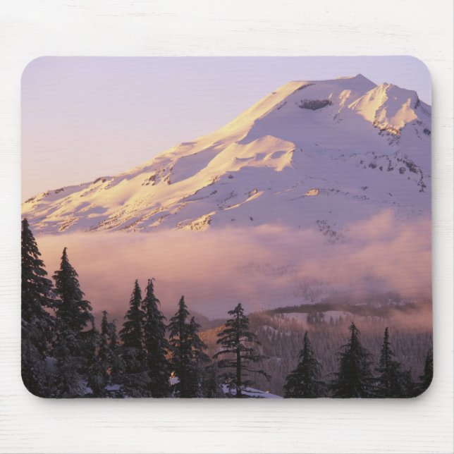USA, Oregon, Deschutes National Forest, The Mouse Pad (Front)