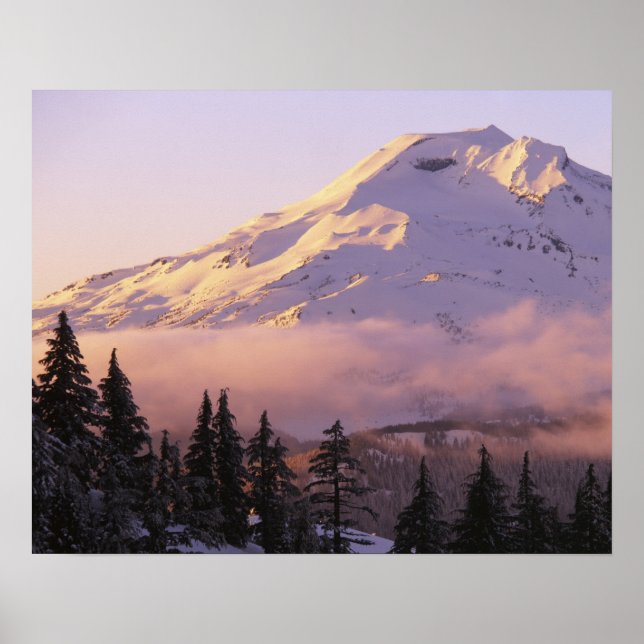 USA, Oregon, Deschutes National Forest, The Poster (Front)