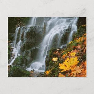 USA, Oregon, Fairy Falls, Columbia River Gorge Postcard
