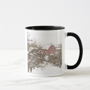 USA, Oregon, Hood River. Snow covered Apple Mug