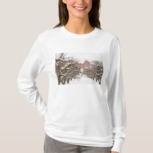 USA Oregon Hood River Snow covered Apple T_Shirt