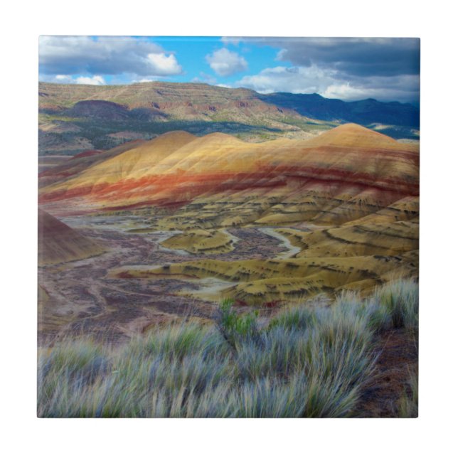USA, Oregon. Landscape Of The Painted Hills Ceramic Tile (Front)