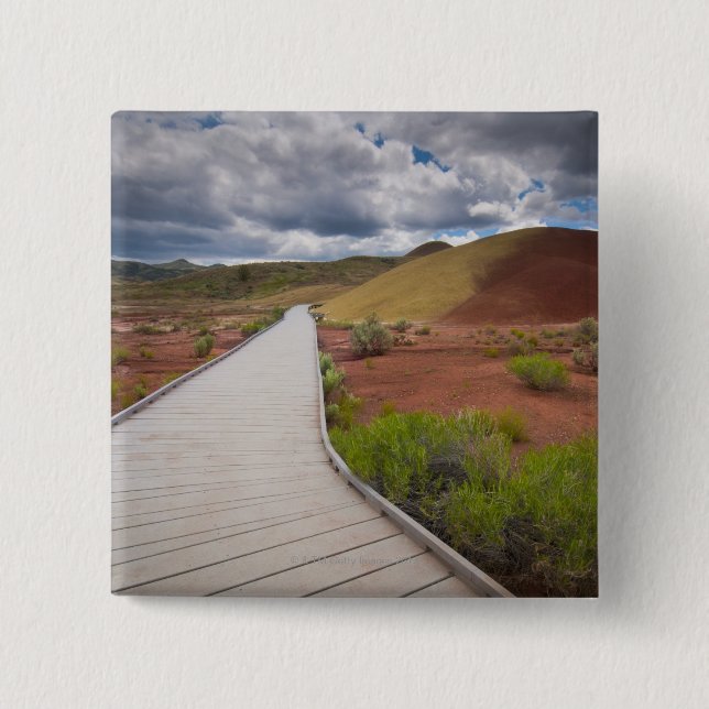 USA, Oregon, Mitchell, Pathway among Painted Button (Front)