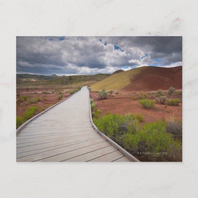 USA, Oregon, Mitchell, Pathway among Painted Postcard (Front)