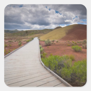 USA, Oregon, Mitchell, Pathway among Painted Square Sticker