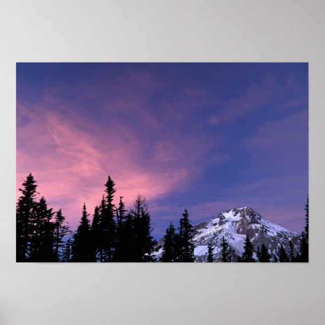 USA, Oregon, Mount Hood from Timberline Poster (Front)
