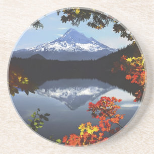 USA, Oregon, Mt. Hood National Forest. Coaster