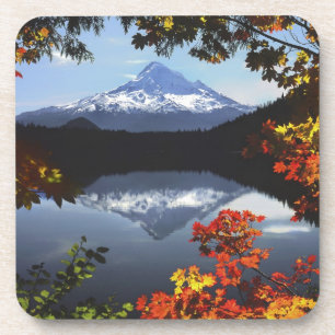 USA, Oregon, Mt. Hood National Forest. Drink Coaster