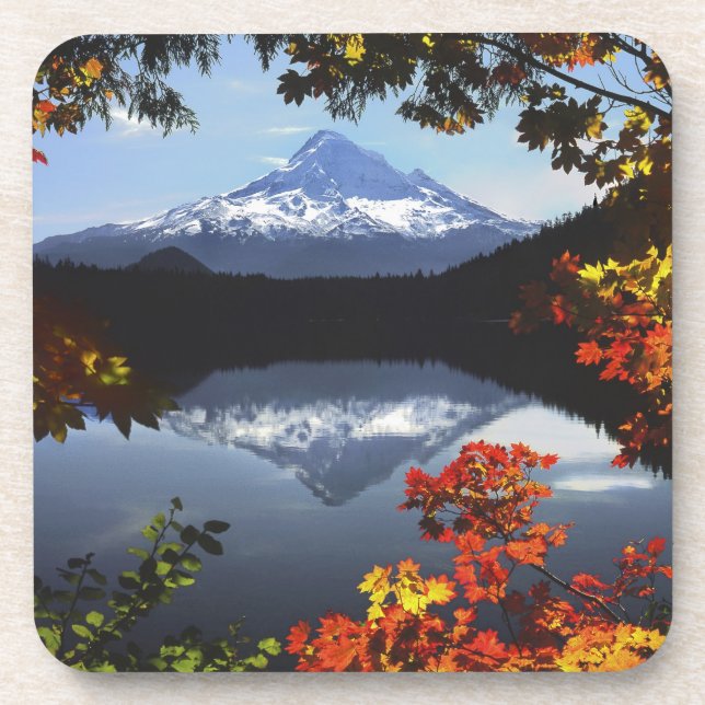 USA, Oregon, Mt. Hood National Forest. Drink Coaster (Front)