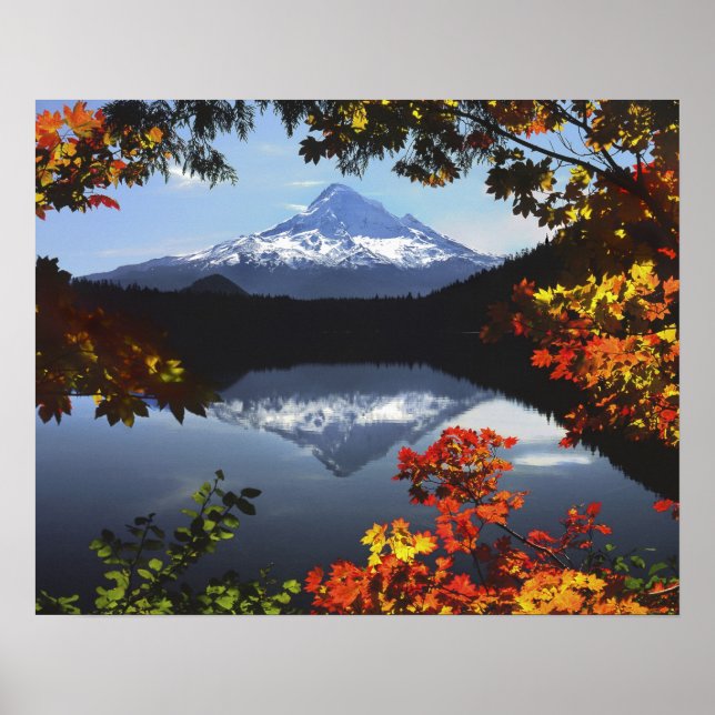 USA, Oregon, Mt. Hood National Forest. Poster (Front)