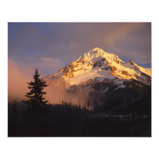 USA, Oregon, Mt. Hood National Forest. Rolling Photo Print (Front)