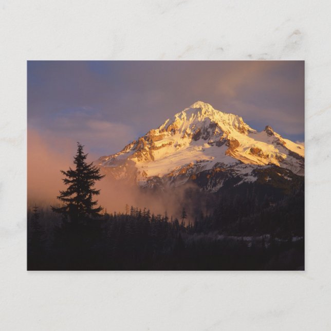 USA, Oregon, Mt. Hood National Forest. Rolling Postcard (Front)