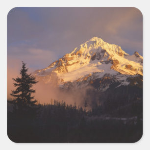 USA, Oregon, Mt. Hood National Forest. Rolling Square Sticker