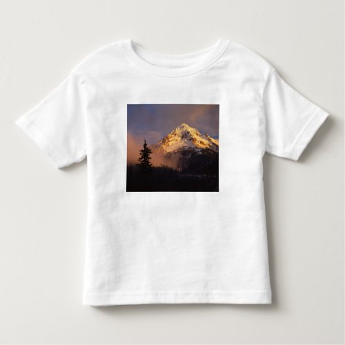 USA Oregon Mt Hood National Forest Rolling Toddler T_shirt