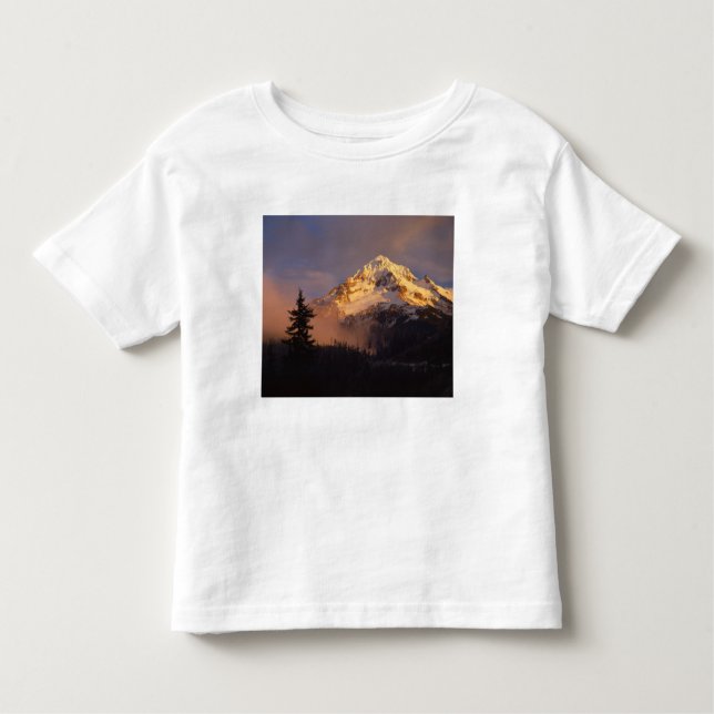USA, Oregon, Mt. Hood National Forest. Rolling Toddler T-shirt (Front)