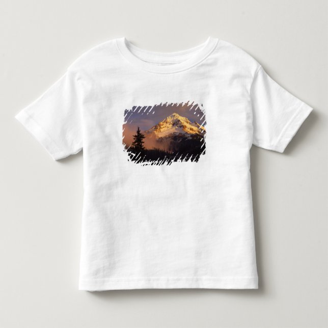 USA, Oregon, Mt. Hood National Forest. Rolling Toddler T-shirt (Front)