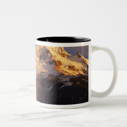 USA Oregon Mt Hood National Forest Rolling Two_Tone Coffee Mug