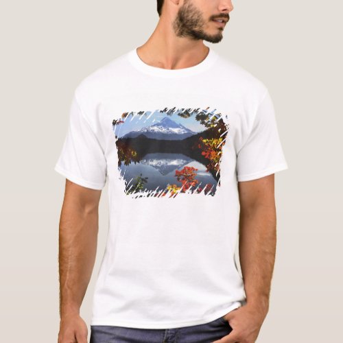 USA Oregon Mt Hood National Forest T_Shirt