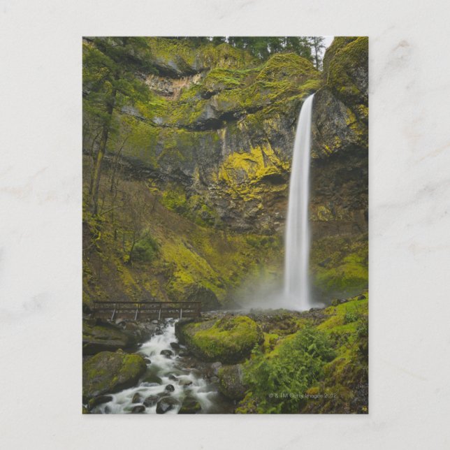 USA, Oregon, Multnomah County, Elowah Falls Postcard (Front)