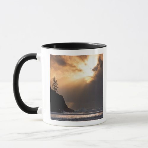 USA Oregon near Oswald West State Park Late Mug