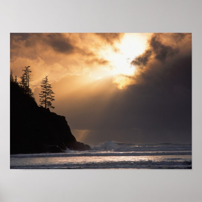 USA, Oregon, near Oswald West State Park, Late Poster (Front)