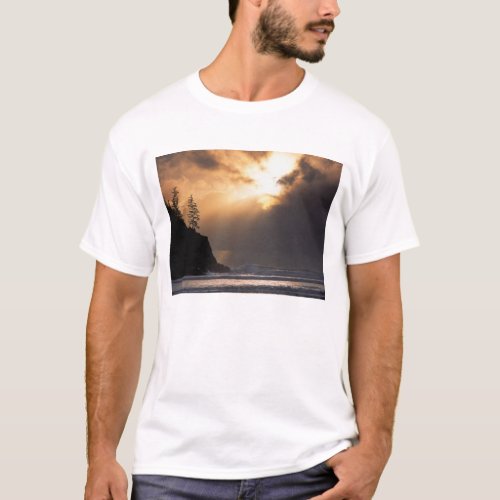 USA Oregon near Oswald West State Park Late T_Shirt