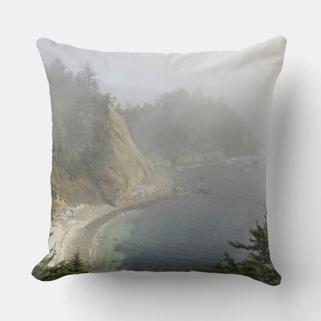 USA, Oregon, Ocean View, Cape Arago, Bandon Throw Pillow (Front)