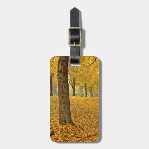 USA Oregon Portland American Linden Trees Luggage Tag