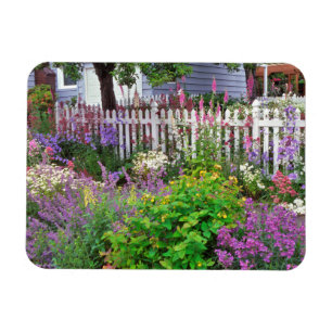 USA, Oregon, Portland. Explosion Of Springtime Magnet