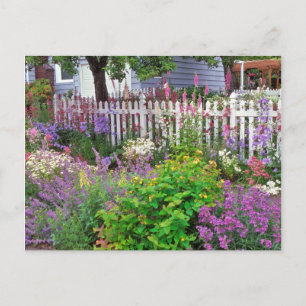 USA, Oregon, Portland. Explosion Of Springtime Postcard