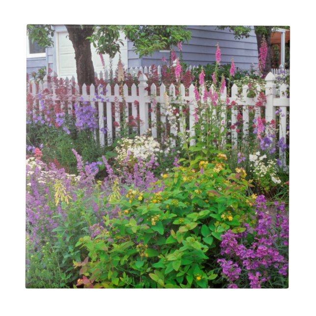 USA, Oregon, Portland. Explosion Of Springtime Tile (Front)