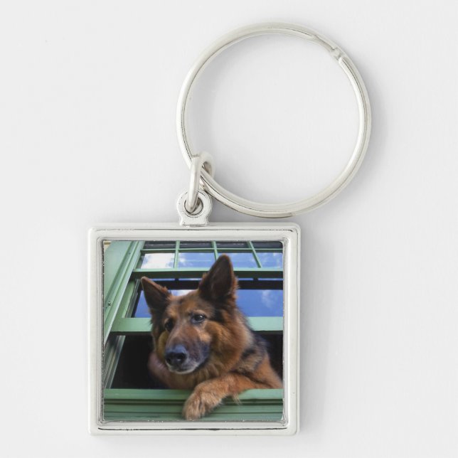 USA, Oregon, Portland. Griff the long-hair Keychain (Front)