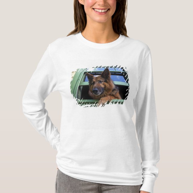 USA, Oregon, Portland. Griff the long-hair T-Shirt (Front)