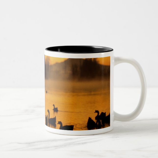 USA, Oregon, Portland. Waterfowl in Columbia Two-Tone Coffee Mug (Right)