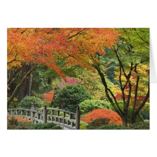 USA, Oregon, Portland. Wooden bridge and maple (Front Horizontal)