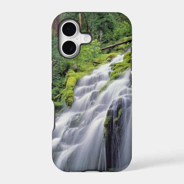 USA, Oregon, Proxy Falls. Proxy Falls rushes Iphone Case (Back)
