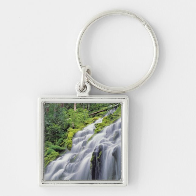 USA, Oregon, Proxy Falls. Proxy Falls rushes Keychain (Front)