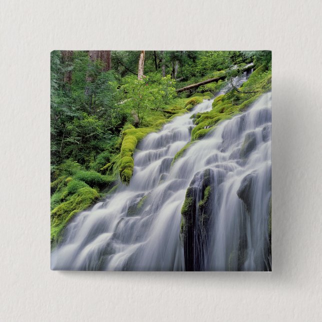 USA, Oregon, Proxy Falls. Proxy Falls rushes Pinback Button (Front)