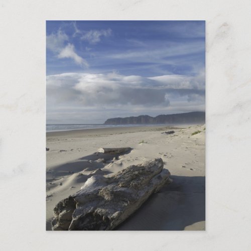 USA Oregon Sand Dunes and Ocean Pacific City Postcard