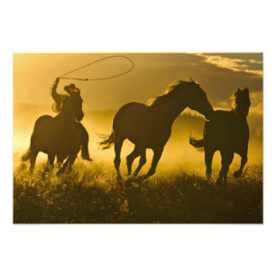 USA, Oregon, Seneca, Ponderosa Ranch. Photo Print