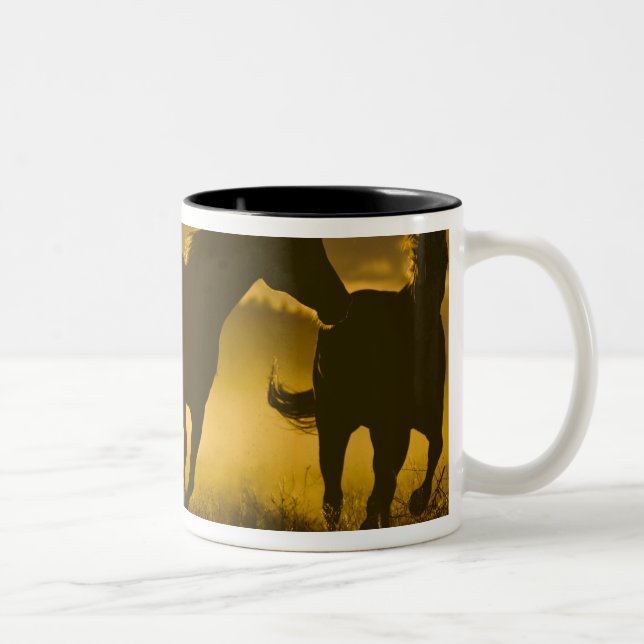 USA, Oregon, Seneca, Ponderosa Ranch. Two-Tone Coffee Mug (Right)