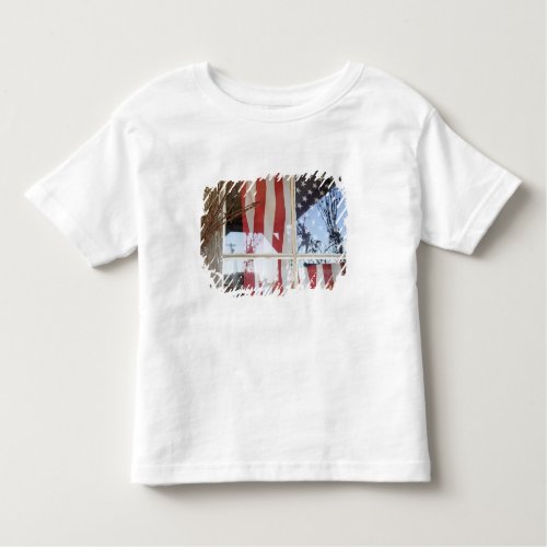 USA Oregon Shaniko Flag in window next to Toddler T_shirt